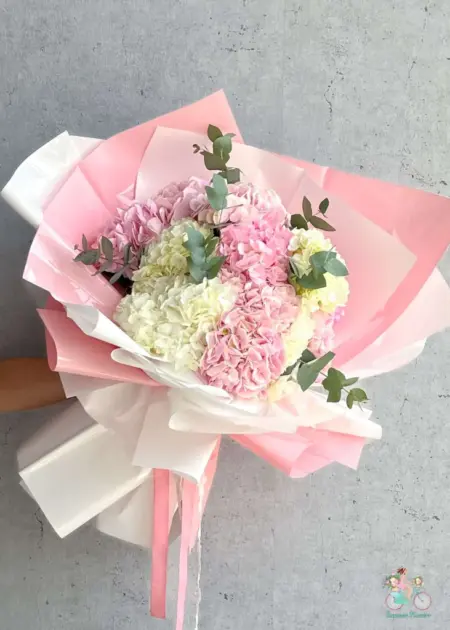 Blush & Ivory Hydrangea Bouquet with Eucalyptus UAE | باقة هيدرنجا وردي وعاجي مع الإيكالبتوس الإمارات