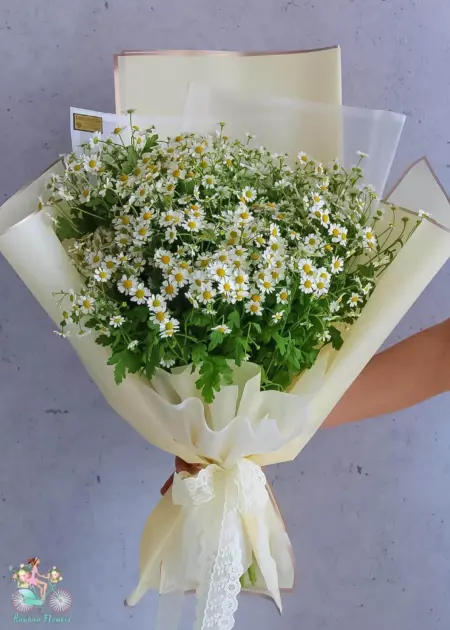 Fresh White Daisy Hand Bouquet UAE | باقة ديزي بيضاء نضرة بتغليف كريمي ناعم الإمارات