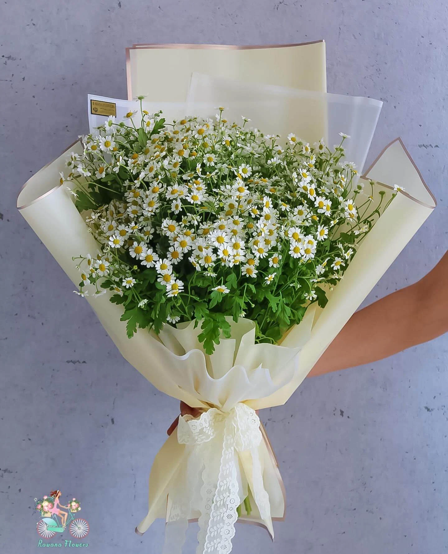 Fresh White Daisy Hand Bouquet UAE | باقة ديزي بيضاء نضرة بتغليف كريمي ناعم الإمارات
