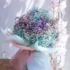 Gipsofila Rainbow Baby’s Breath Cloud Bouquet RAK | باقة جيبسوفيلا قوس قزح (بيبي بريث) رأس الخيمة